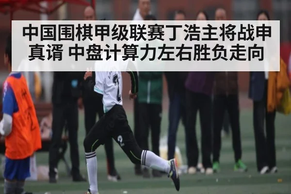 中国围棋甲级联赛丁浩主将战申真谞 中盘计算力左右胜负走向